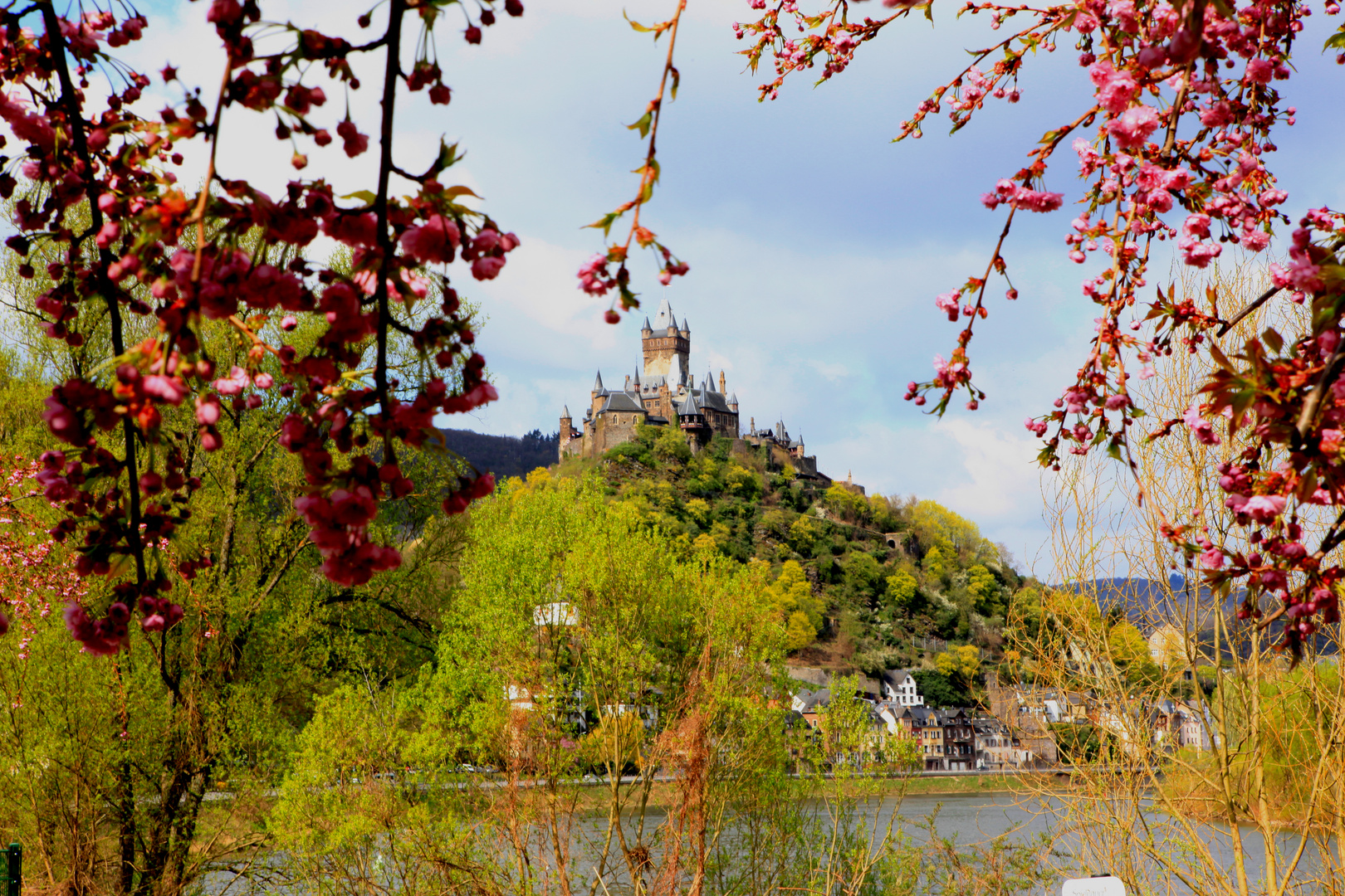 Frühling an der Mosel