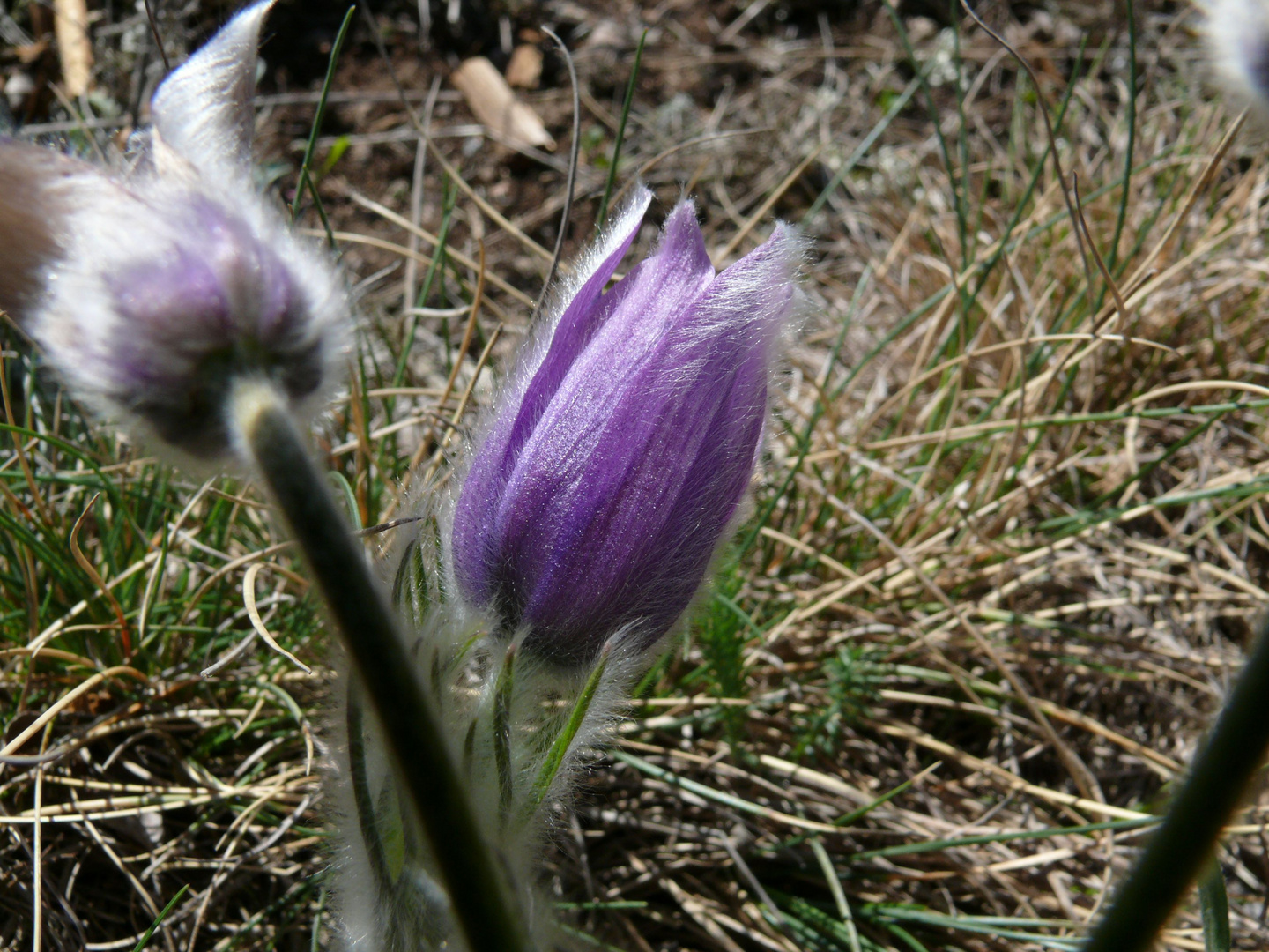 Frühling an der Nahe