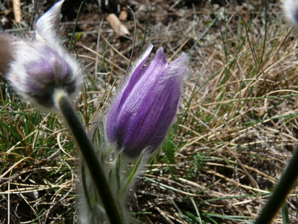 Frühling an der Nahe von Detlef Wendtland 