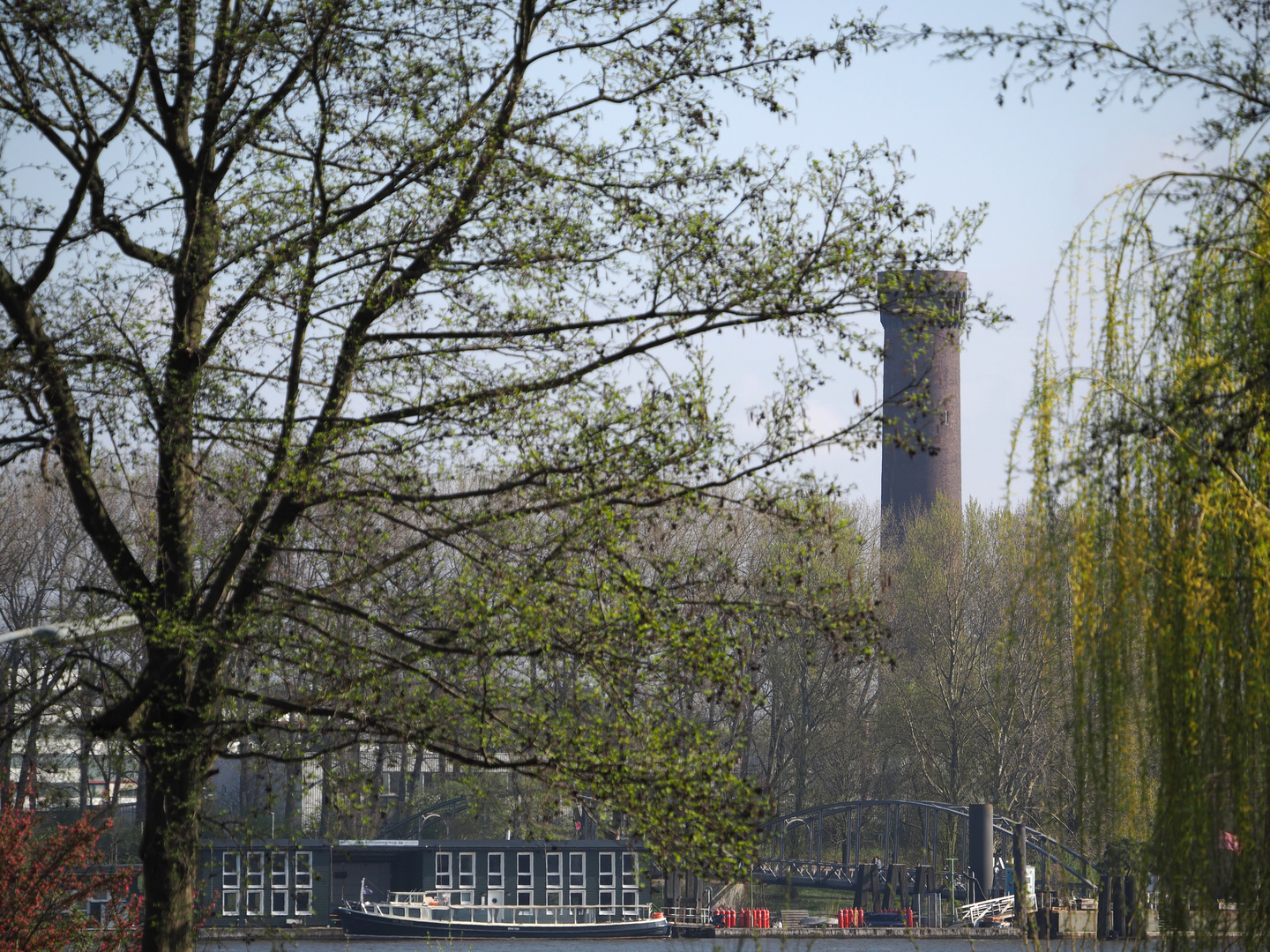 Frühling an der Norderelbe