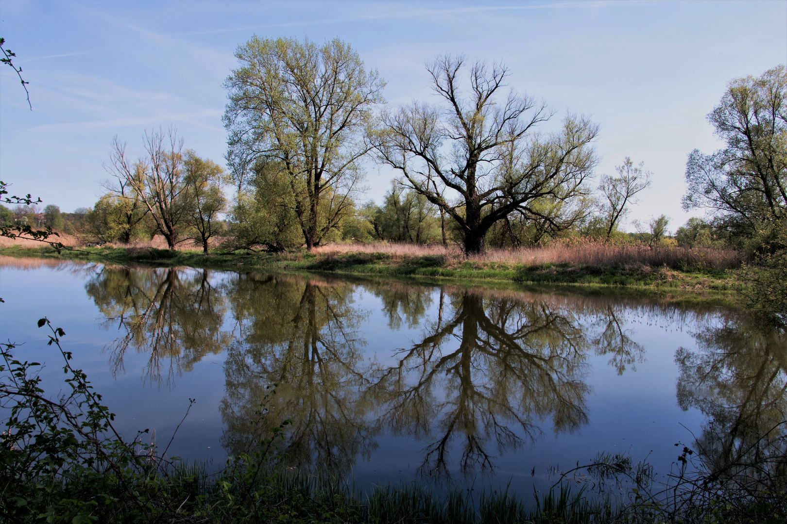 Frühling an der ODER...