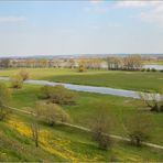 Frühling an der Oder