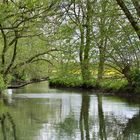 Frühling an der Ohm