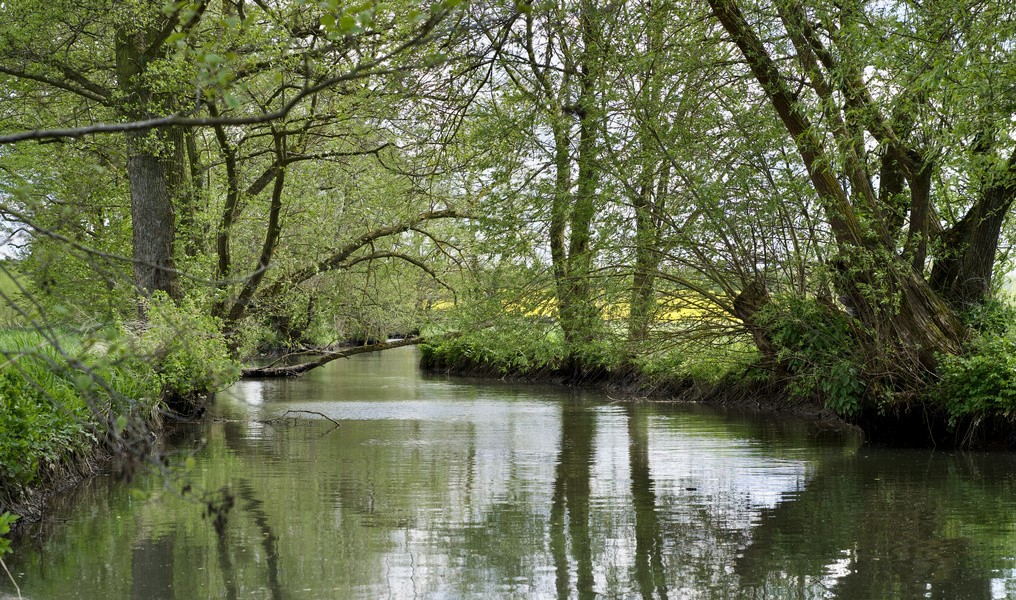 Frühling an der Ohm