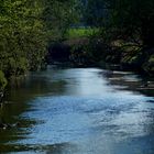 Frühling an der Oker 1