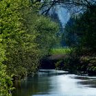 Frühling an der Oker 2