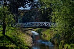 Frühling an der Oker 3