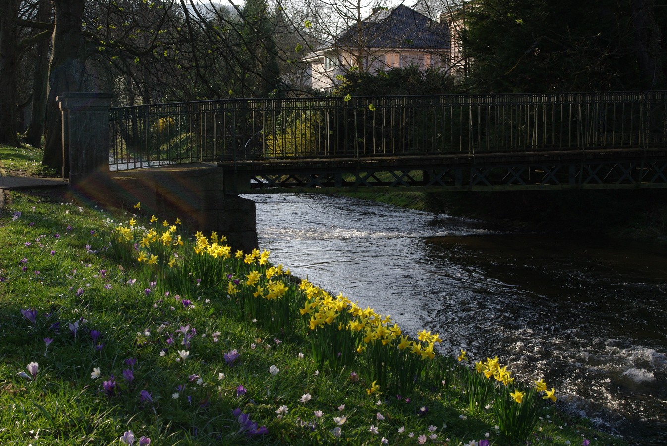 Frühling an der Oos