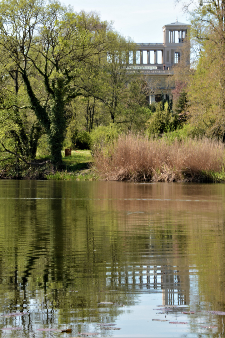 Frühling an der Orangerie