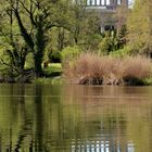 Frühling an der Orangerie