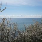 Frühling an der Ostsee