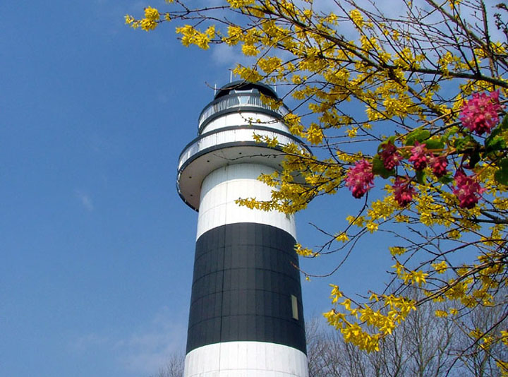 Frühling an der Ostsee