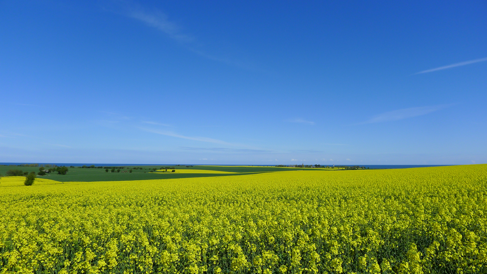 Frühling an der Ostsee