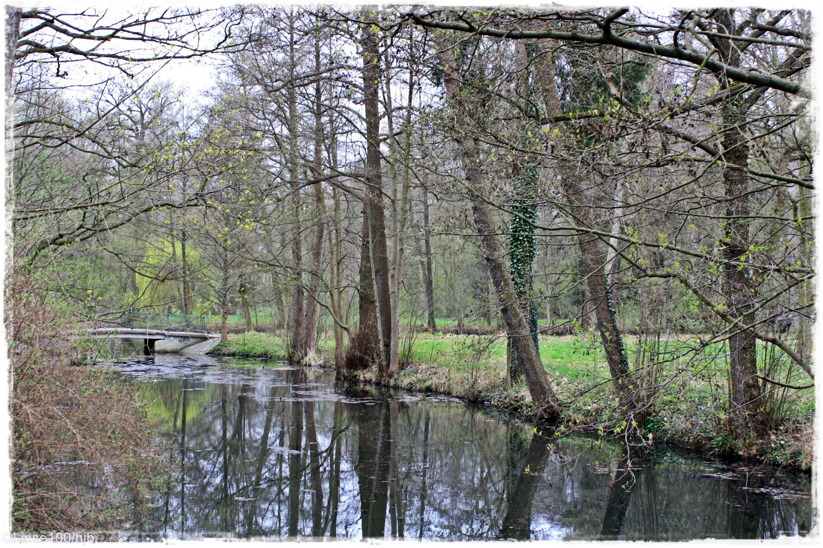 Frühling an der Panke (1), Berlin-Buch