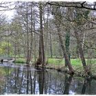 Frühling an der Panke (1), Berlin-Buch