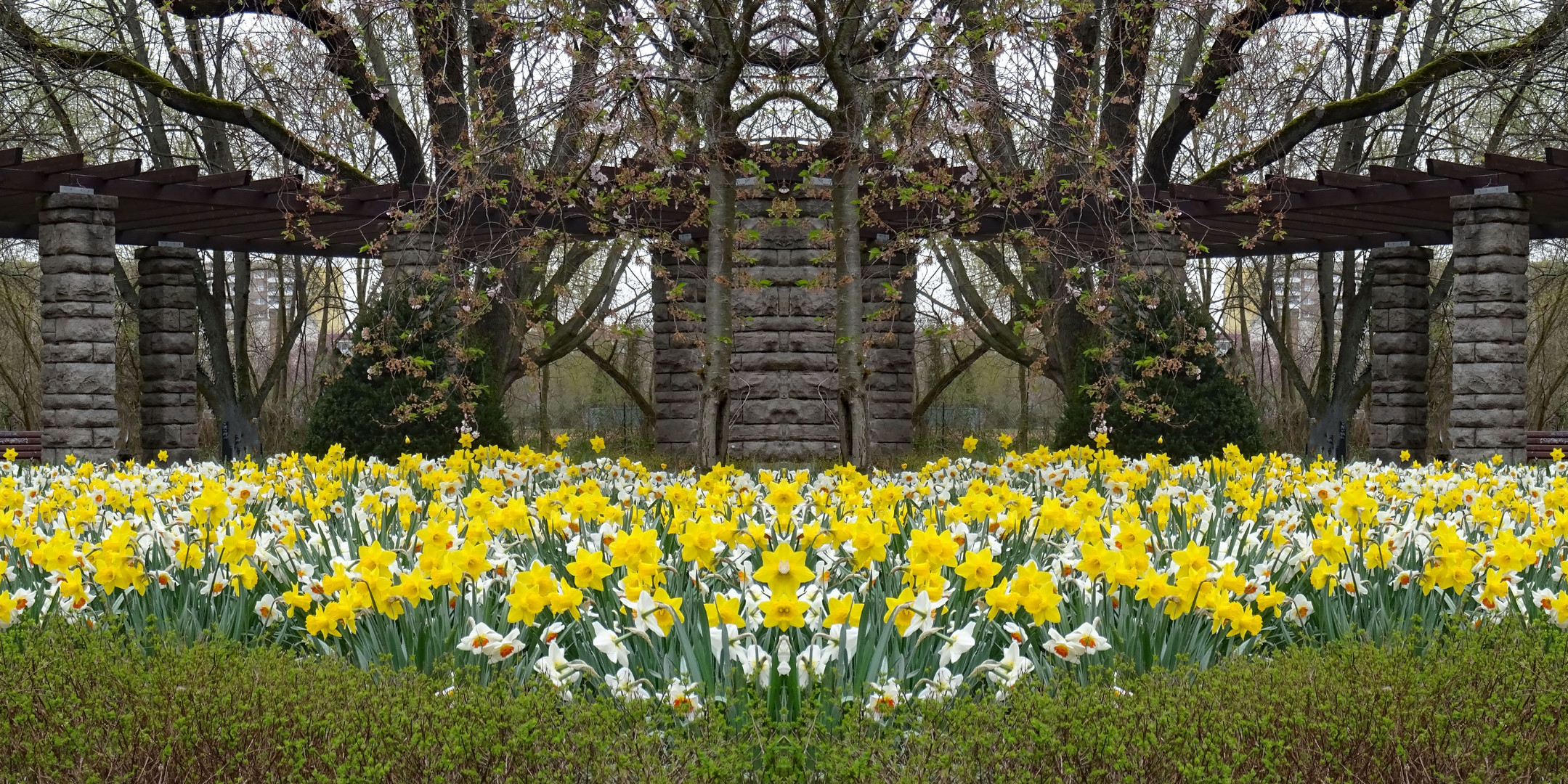 Frühling an der Pergola