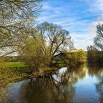 Frühling an der Rednitz 1