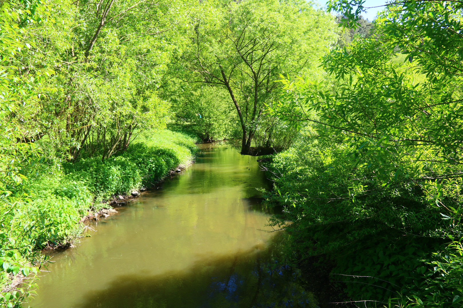 Frühling an der Rezat