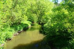 Frühling an der Rezat