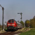 Frühling an der Rottalbahn