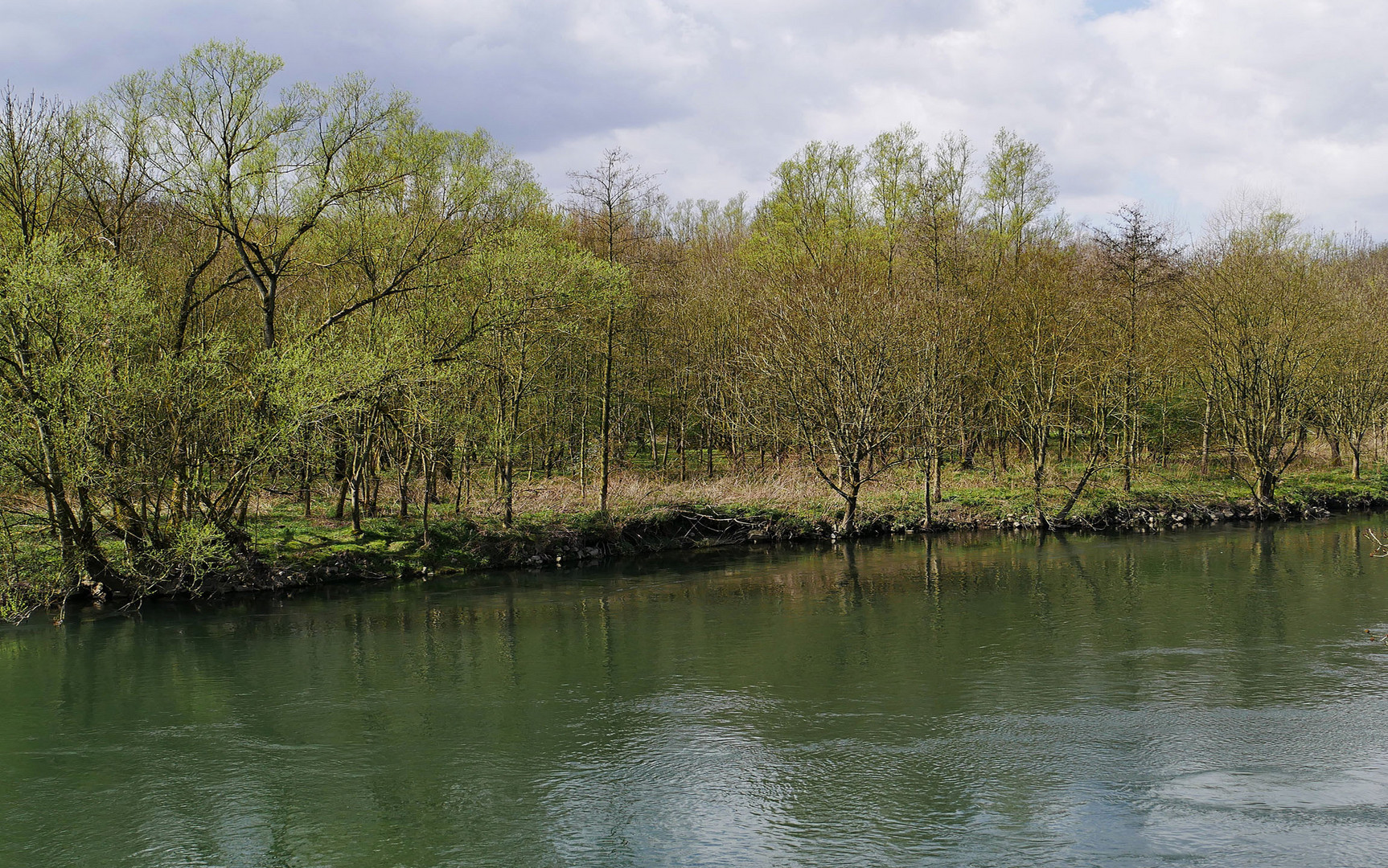 Frühling an der Ruhr