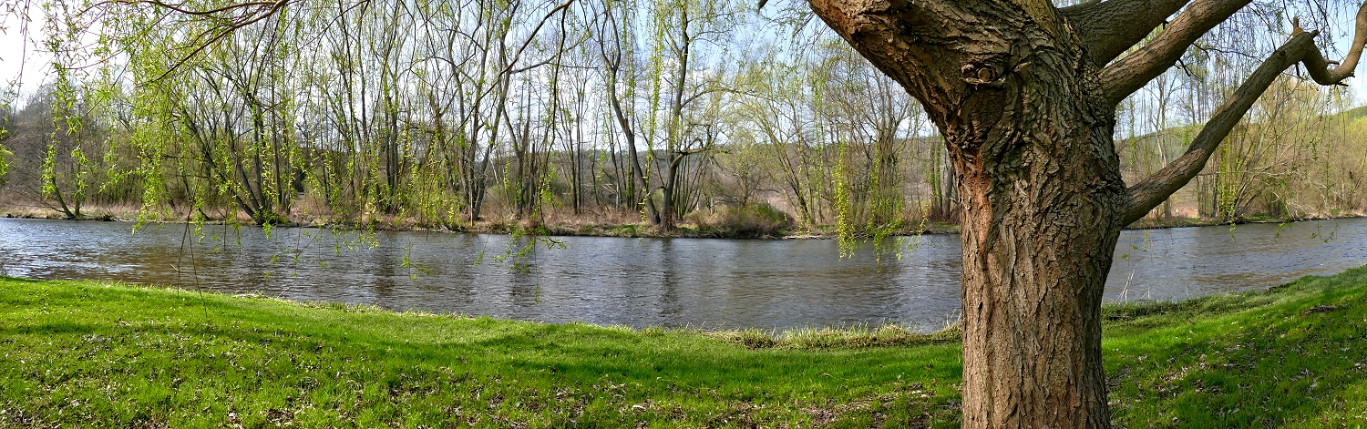 Frühling an der Saale