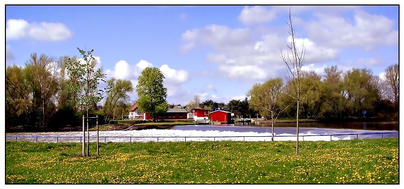 Frühling an der Saale