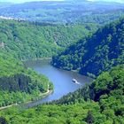 Frühling an der Saar