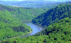 Frühling an der Saar