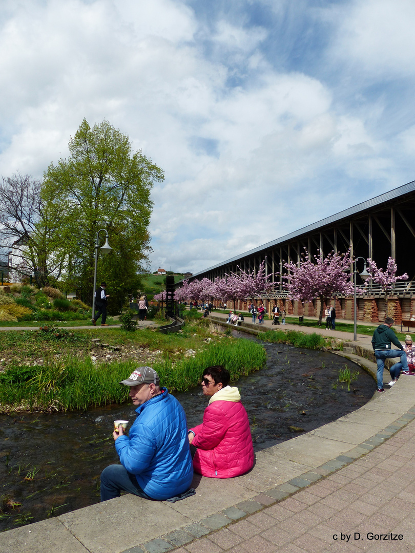 Frühling an der Saline  und der Isenach !