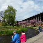 Frühling an der Saline  und der Isenach !