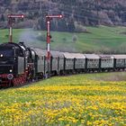 Frühling an der Sauschwänzlebahn