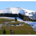 Frühling an der Schneegrenze !