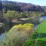 Frühling an der Sieg 1