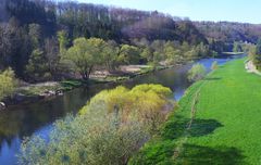 Frühling an der Sieg 1