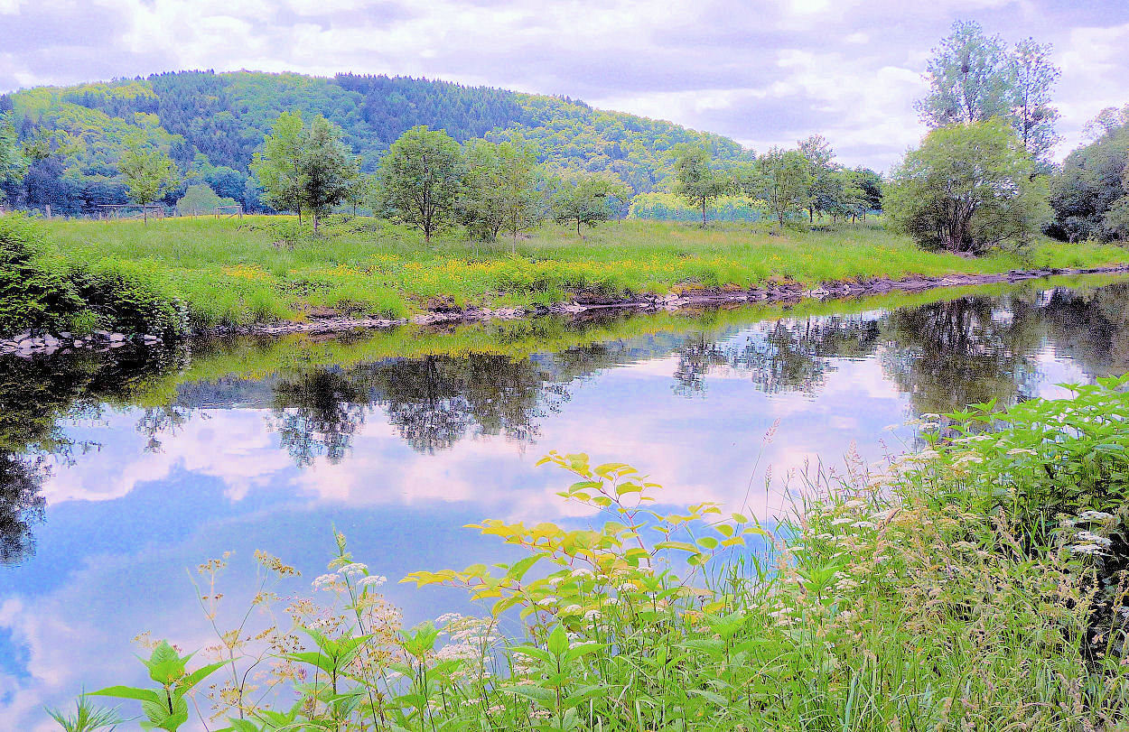 Frühling an der Sieg