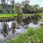 Frühling an der Sieg ...