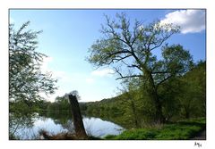 Frühling an der Sieg (Windeck-Stromberg)