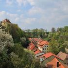 Frühling an der Spree