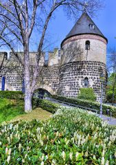 Frühling an der Stadtmauer