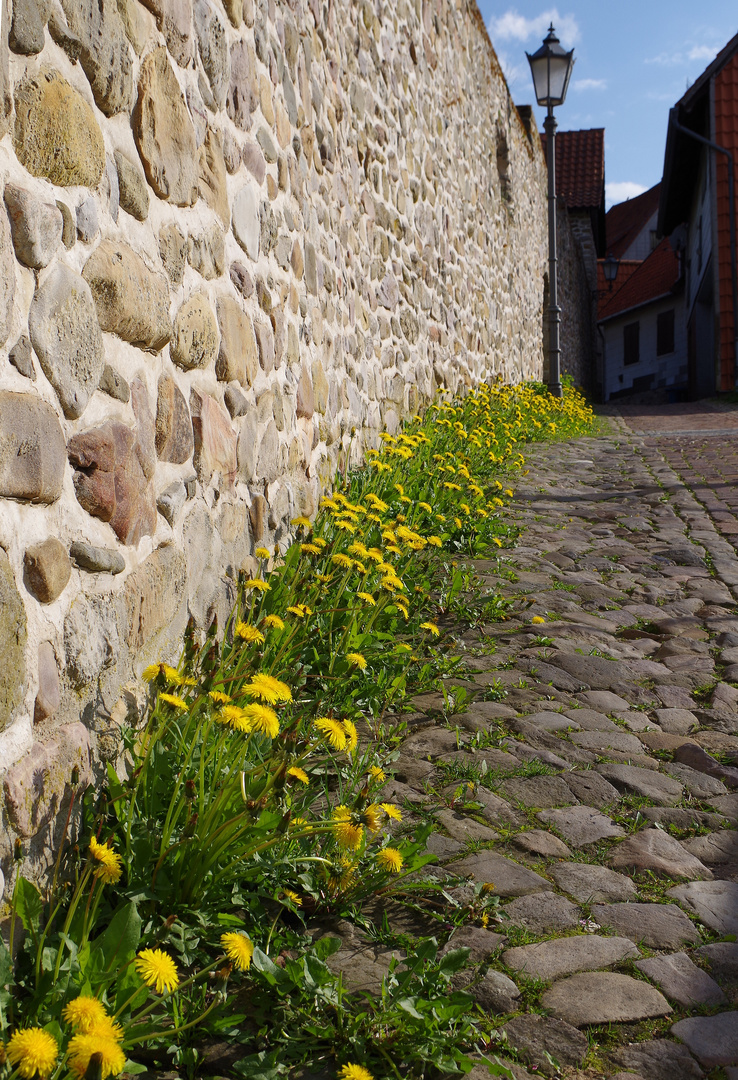 Frühling an der Stadtmauer