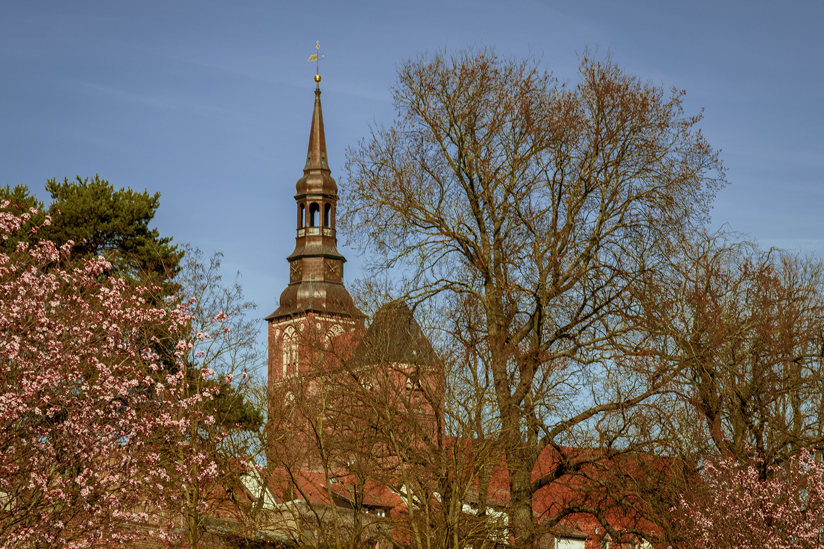 Frühling an der Stadtmauer