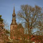 Frühling an der Stadtmauer