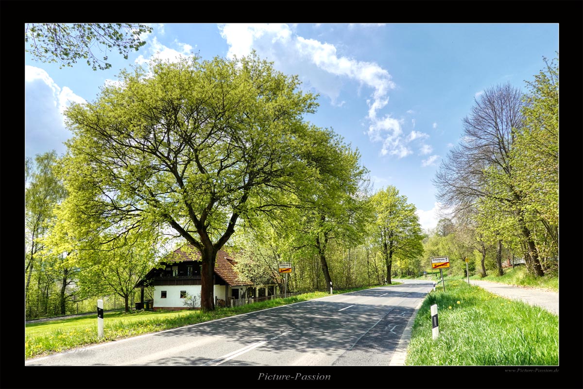 Frühling an der Strasse