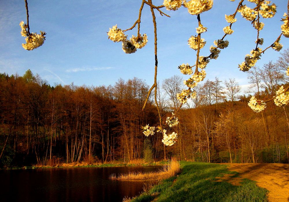 Frühling an der Streitmühle