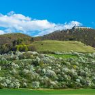 Frühling an der Teck