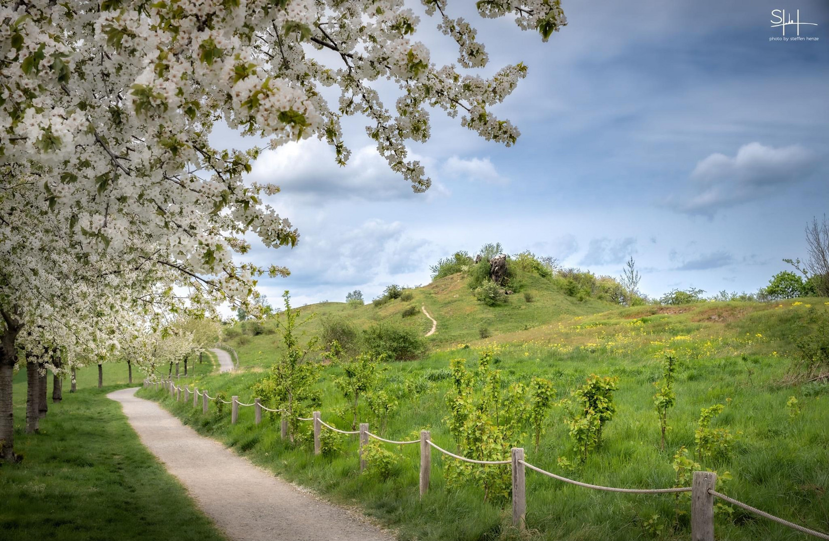 Frühling an der Teufelsmauer