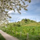 Frühling an der Teufelsmauer