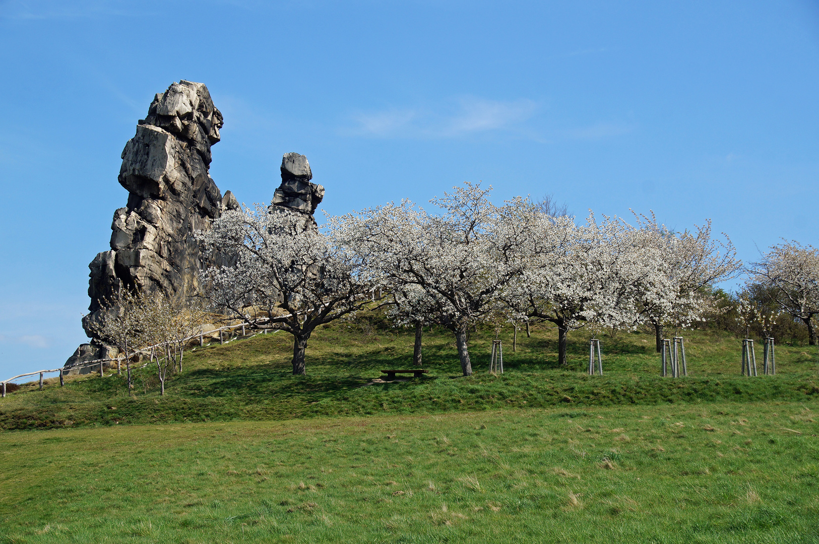 Frühling an der Teufelsmauer