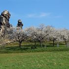 Frühling an der Teufelsmauer